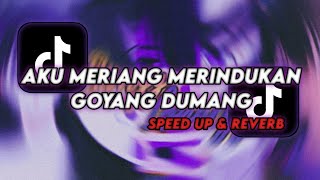 Download lagu Aku Meriang Merindukan Goyang Dumang OLD ( Speed Up & Reverb ) Viral Tiktok 2025