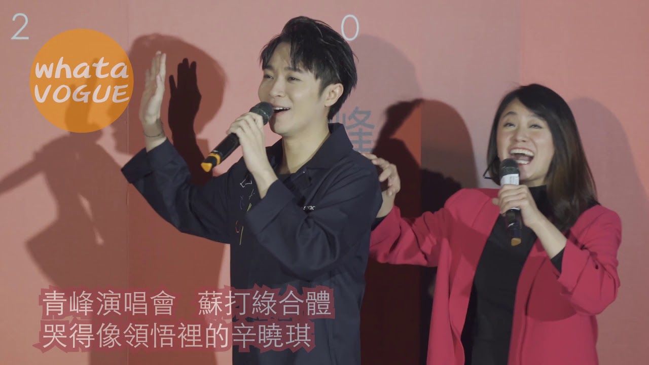 青峰演唱會 蘇打綠合體 哭得像領悟裡的辛曉琪[影音]