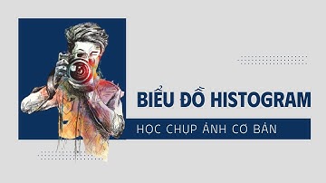Biểu đồ Histogram - (9 chuồn)