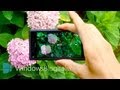 Review of Nokia Pro Cam on HTC 8X