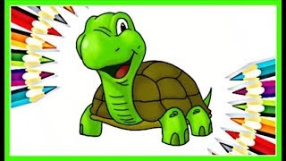 How to Draw and Color TURTLE Coloring page | coloring 2018