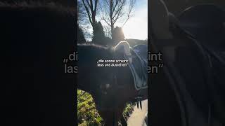 So schnell kann’s gehen, hab wohl eine becken und schulter prellung und eine . #horse