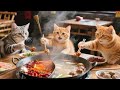 🍲 Ginger Kitten Meets a Panda for the First Time – A Warm Family Hot Pot Feast