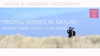 Finding scenes in nature where there seems to be none