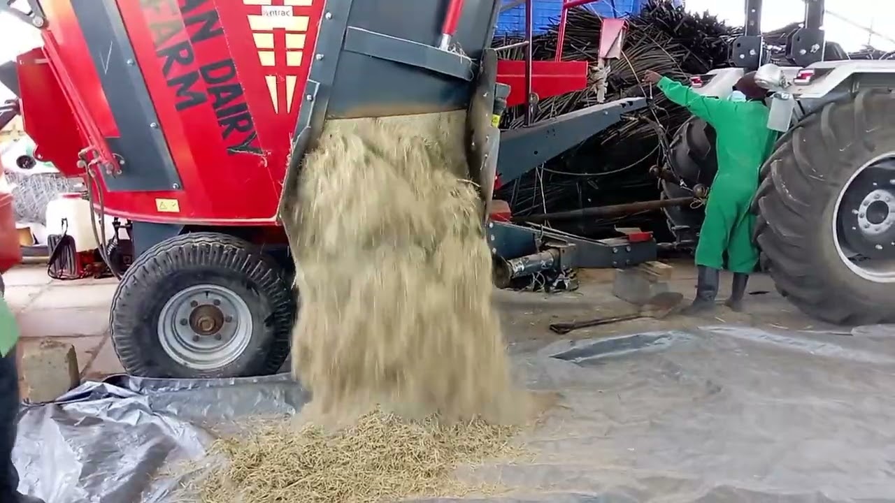 Beef Farming In Kenya Part 2 YouTube Beef Farming In Kenya Part 2 YouTube