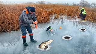 КОЛЯН, БЕГИ там 5 СРАБОТОК в КАМЫШЕ!!! ВДВОЕМ НЕ УСПЕВАЕМ за ЩУКОЙ на РЫБАЛКЕ