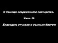 О немощи современного пастырства Часть 36 Благодать спутали с земным благом