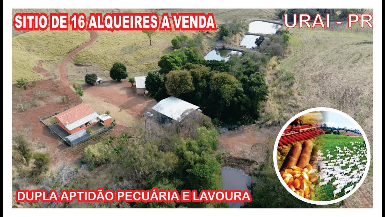 Sitio a venda na cidade de Urai Norte do Paraná