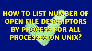 How to list number of open file descriptors by process for all processes on Unix? (2 Solutions!!)