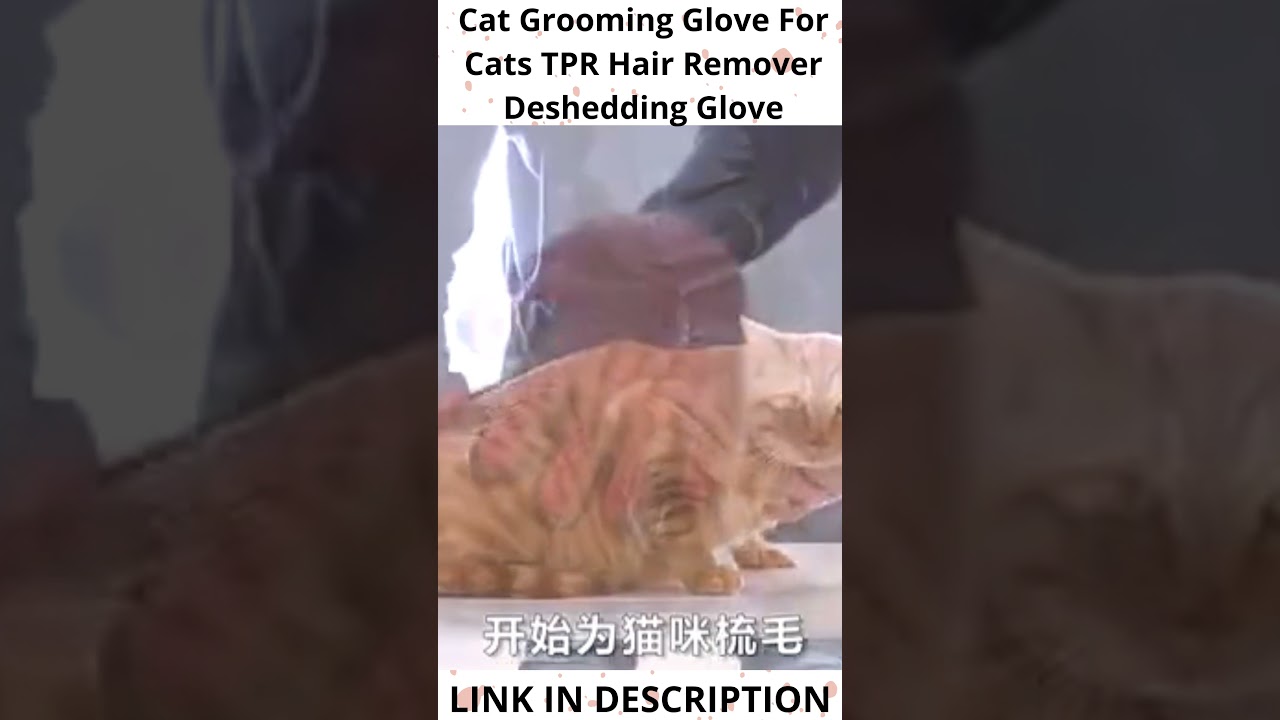 Cat Grooming Glove For Cats TPR Hair Remover Deshedding Glove 