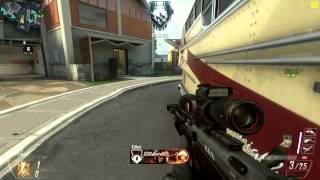 Black Ops 2 - DSR 50 Triple Collateral