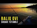 🐟 Baliq qayerda? Bu videoda sudak tutamiz | Qarmoq, ip va baliq tutish haqida maslahatlar 🎣