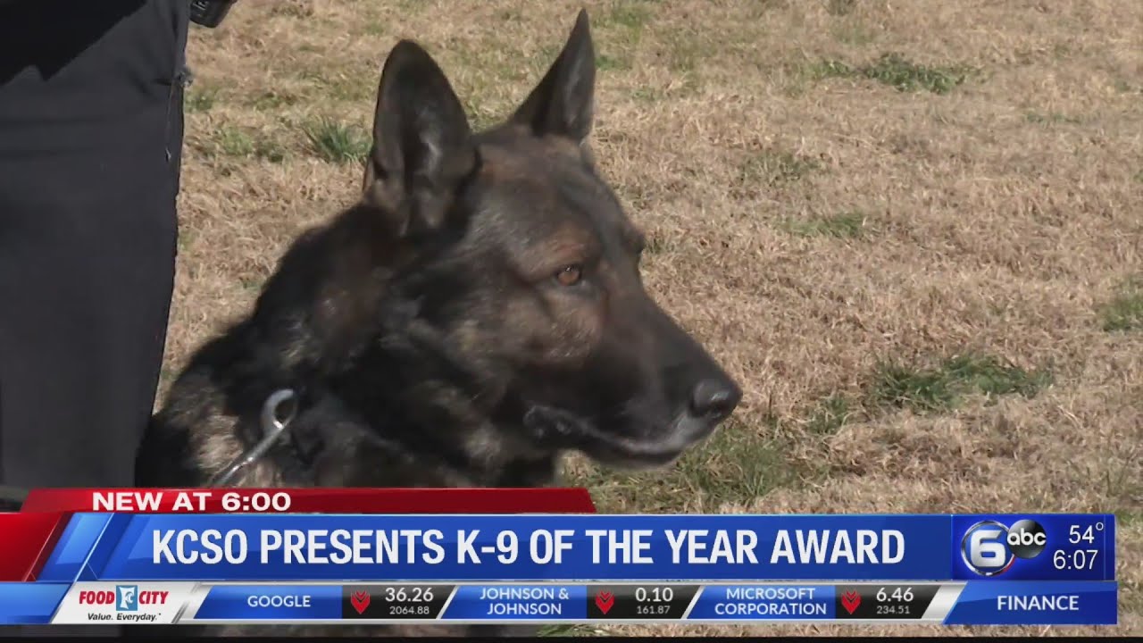 Knox County Sheriff presents K-9 of the Year award