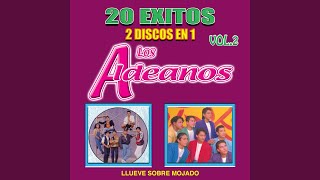 Popurrí Menéalo: Menéalo / Pegaitos / Menéalo / Bikini a Lunares Amarillos / Menéalo / Tú la Tienes Que Pagar / Limbo Capyso / Rumba, Samba, Mambo / Agárrense de las Manos / Vamos Pa la Conga / Baila Conmigo - Los Aldeanos