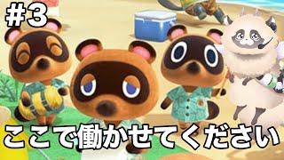 【#あつまれどうぶつの森 】#３　まずは身内を装います【ADらこん】