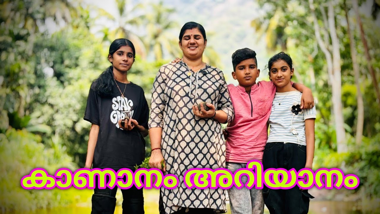 ടെസ്റ്റ് കഴിഞ്ഞ് വണ്ടി എത്തിയപ്പോ തൊട്ട് തുടങ്ങിയതാ എന്നാ പിന്നെ കാണിക്കണ്ടേ 😍🥰👌👌