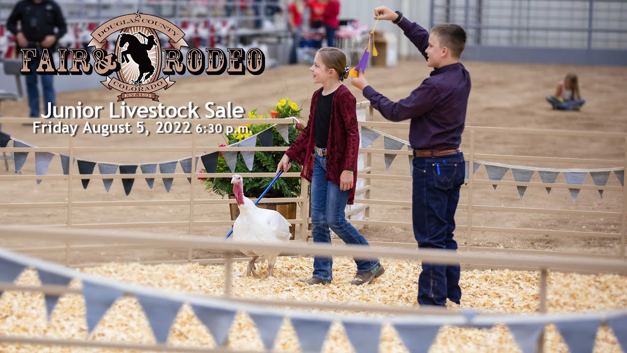 Douglas County Fair & Rodeo - Junior Livestock Sale - YouTube