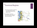 Types of Geographic Regions Explained