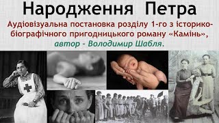 Audiovisual Adaptation: Stone. Chapter One: “The Birth of Petro”