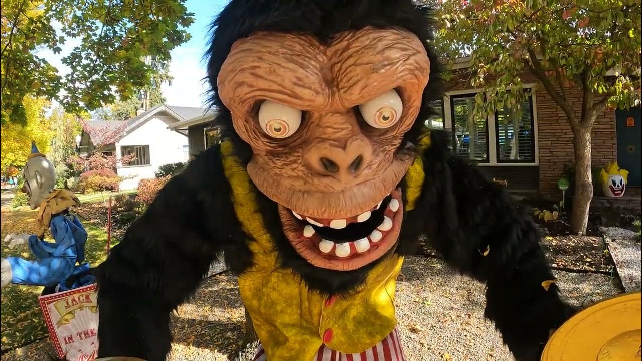 Boise Harrison Blvd. Halloween Decorations by Day YouTube