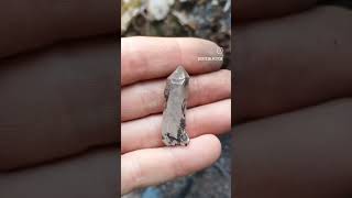 Recherche De Cristaux De Quartz En Plein Hiver Sous La Neige Dans Les Alpes Françaises