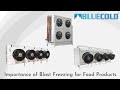 Importance of blast freezer  blue cold refrigeration