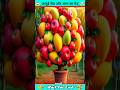 Mango  frooti tree   aishorts007 crazyxyz ytshorts viral