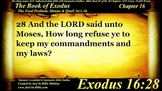 Exodus Chapter 16 - Bible Book 02 - The Holy Bible KJV Read Along - Audio with Text