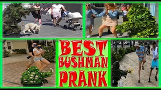 Best Bushman Prank-new