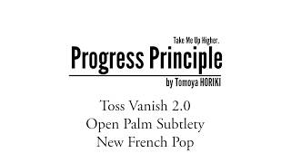 プログレス・プリンシプル （Progress Principle）