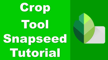 How to Use the Crop Tool in Snapseed