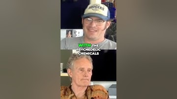 Unlocking the Healing Power of Psychedelics: A Medication for Mind and Body