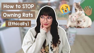 So you want to stop owning Rats?