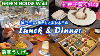 神戸三宮ランチ＆ディナー【神戸子育てvlog】グリーンハウスヴァルト・農家うたげ。