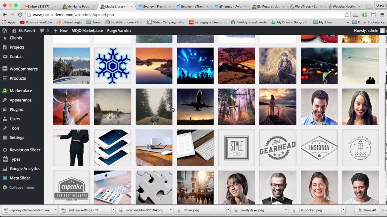 youtube wordpress theme