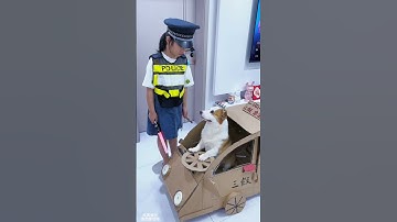 Obey the traffic rules#shortfeed#ytshorts#short video