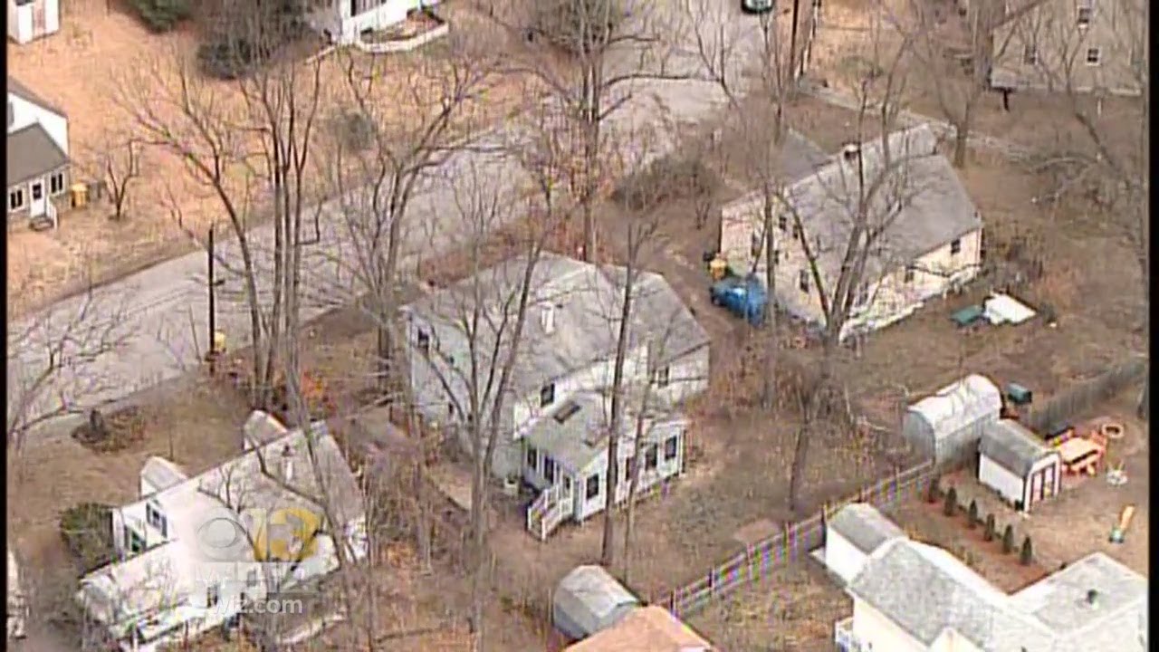 Couple Charged With 40 Counts Of Animal Cruelty After Dog In Their Care ...