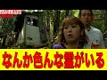 【心霊】「白高大神」奈良最恐心霊スポットで、霊視芸人パシンペロンはやぶさが視たものとは!?