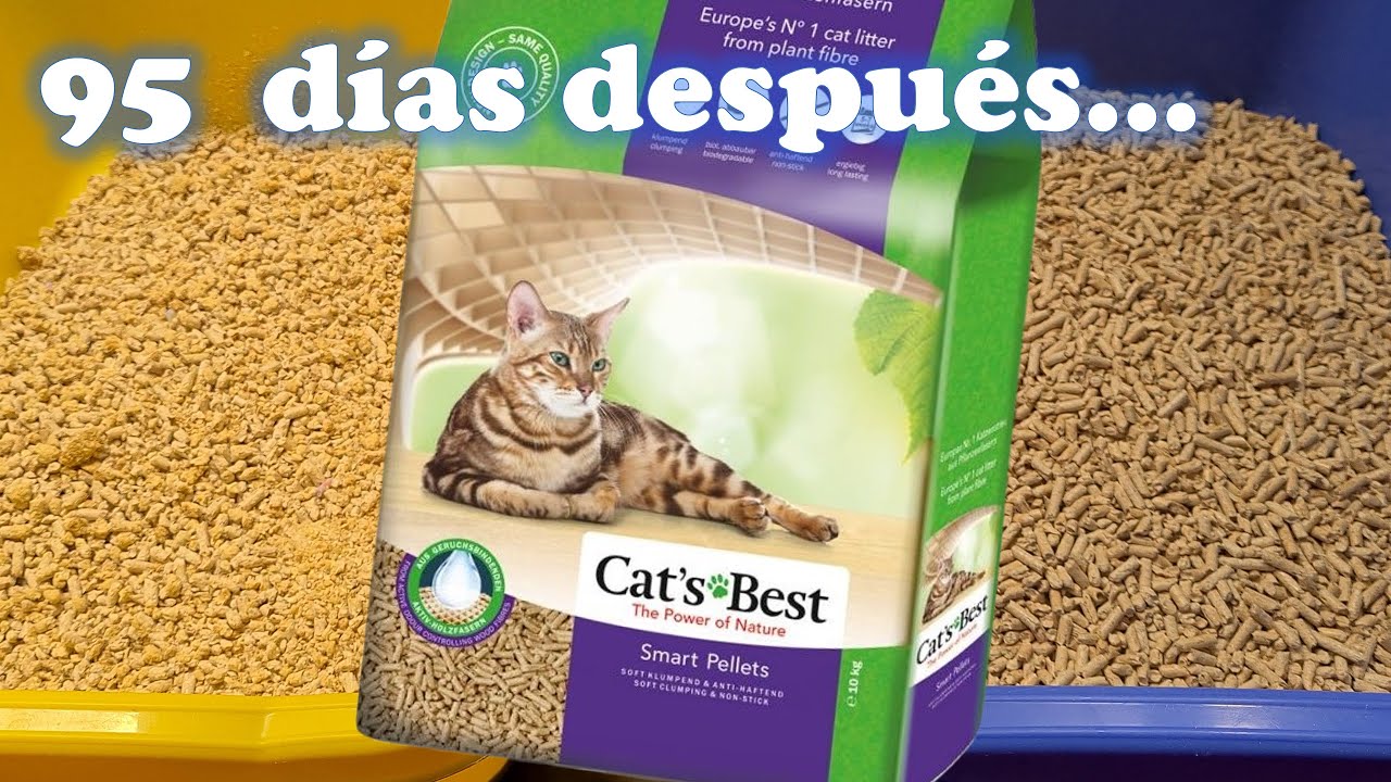 Comparando Cat's Best Smart Pellets después de 95 días (y abriendo una  bolsa nueva de 10 kilos) 