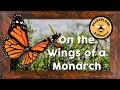 &quot;On the Wings of a Monarch&quot; | Pollinator Stories for Kids