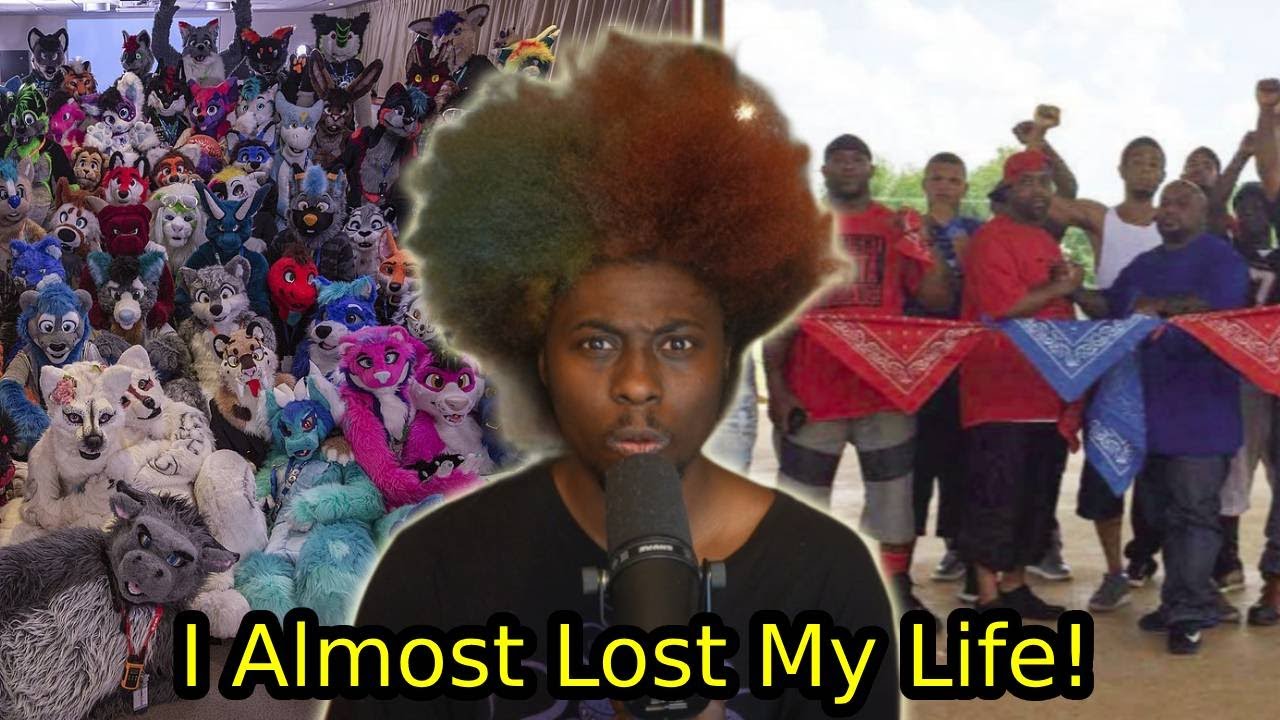 Стая фурри спасла меня от бандитов