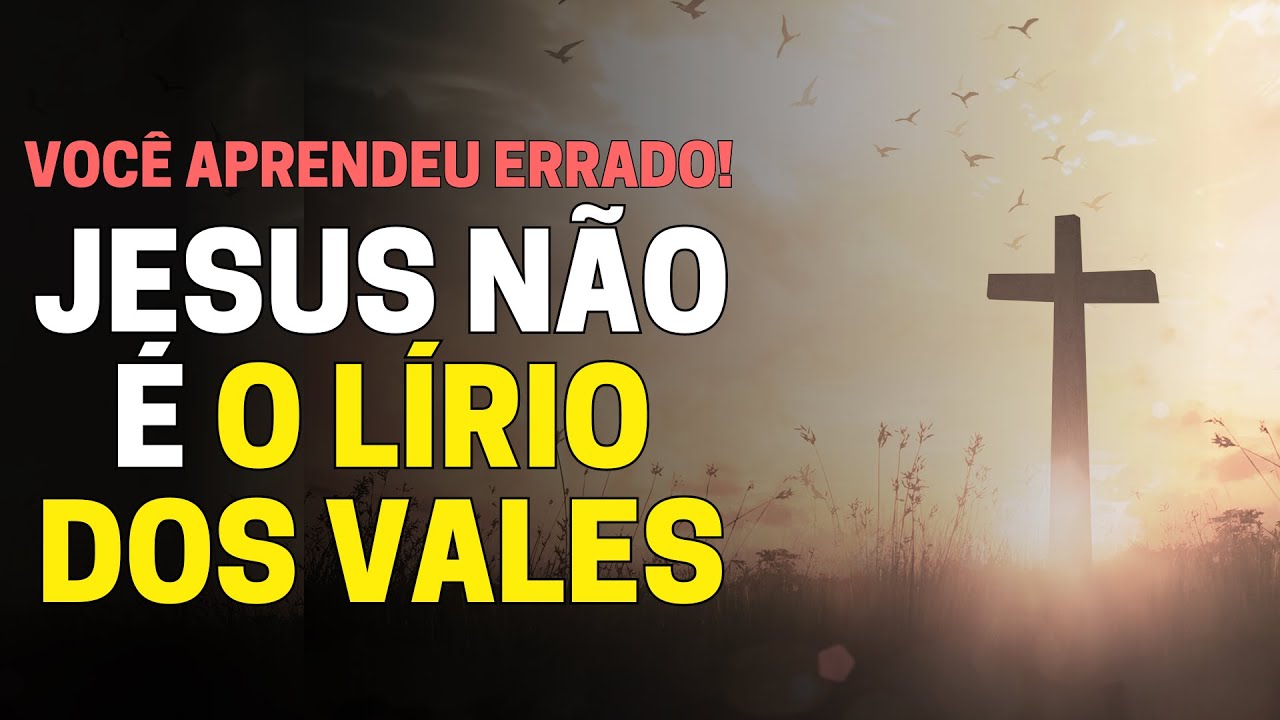 LÍRIO DOS VALES: QUAL O SIGNIFICADO BÍBLICO? JESUS É O LÍRIO DOS VALES ...