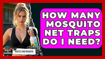 How Many Mosquito Net Traps Do I Need? - Insects and Invaders