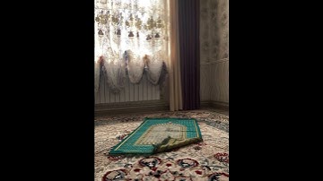 #فضيلة الشيخ محمد محمود الطبلاوي#سورة الحجر#ولقد نعلم أنك يضيق صدرك بما يقولون