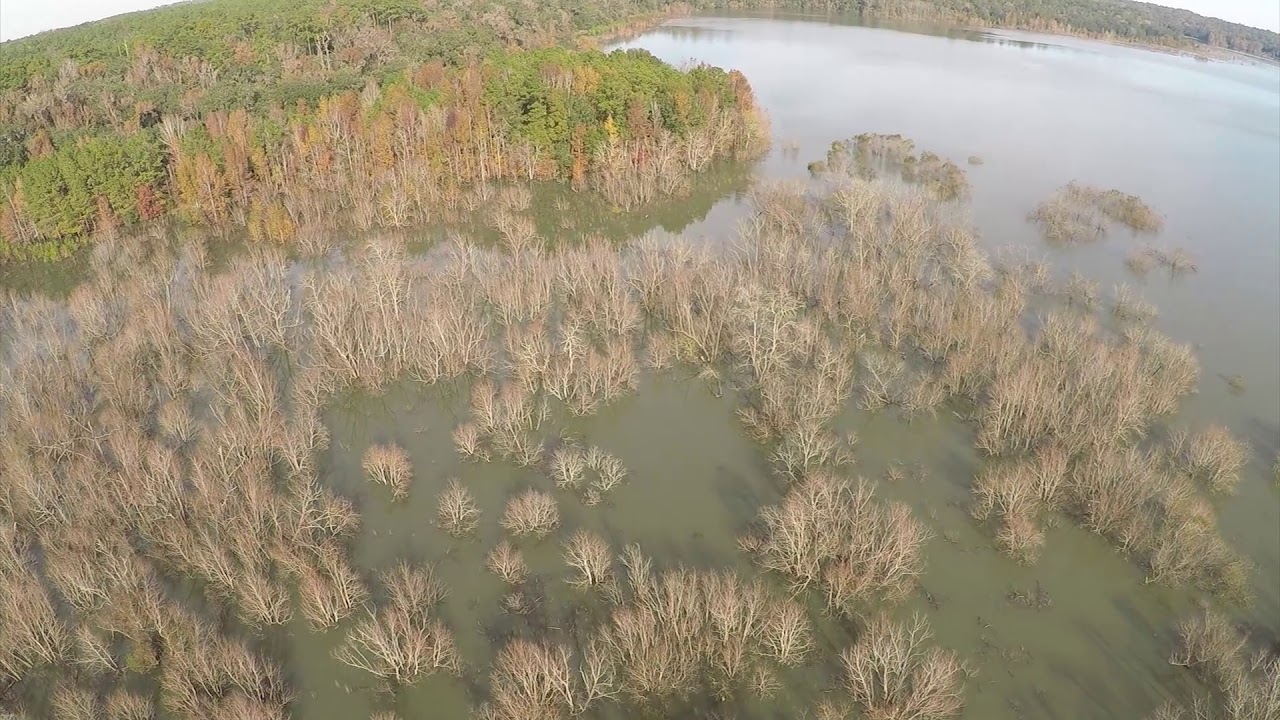Zoe's Sink - Upper Lake Lafayette