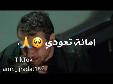 اغنية بالله عودي أمانة تعودي حالات واتس اب