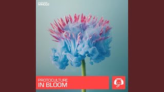 In Bloom (Extended Mix)