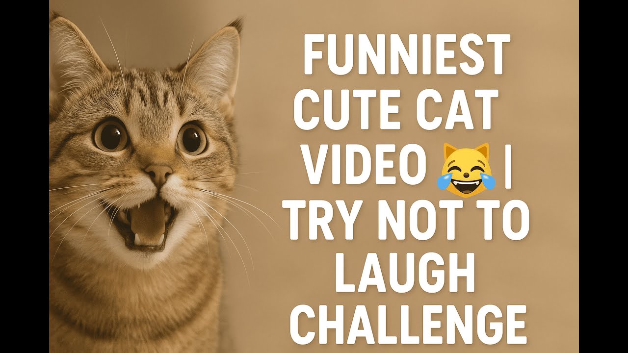 Funny Cat Video 2025 – Cute Cats Doing Hilarious Things 😹 - YouTube