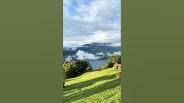 آيات بينات من الذكر الحكيم 🌺❤️