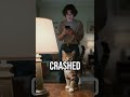 Stress meets chaos #relaxation #funny #story